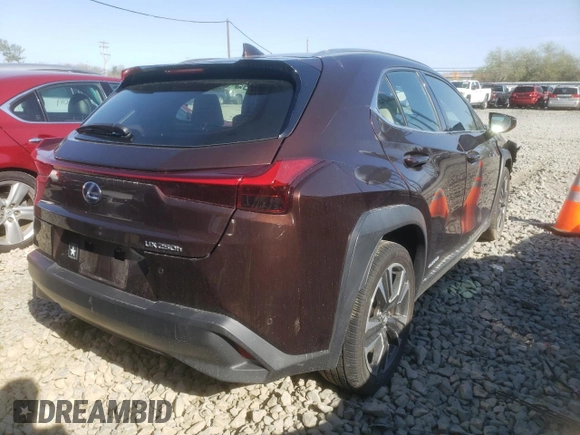 ✅ 2019 Lexus UX 250h • VIN: JTHU9JBH0K2014485 • Lot: 42299012. Wystawiony na Copart z przebiegiem Nie podano. Bezpłatny archiwum sprzedaży aukcyjnych z USA i szczegółowy raport historii pojazdu na DreamBid. Zdjęcie 4.