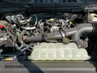 ✅ 2025 Ford F-150 XLT • VIN: 1FTEW3LP9SFA20133 • Lot: 71433195. Listed on Copart with 2,663 mi. Free auction sales archive from the USA and detailed vehicle history report at DreamBid. Image 13.