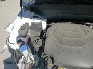 ✅ 2023 Kia Telluride SX Prestige X-Pro • VIN: 5XYP5DGC1PG355349 • Lot: 54399095. Wystawiony na Copart z przebiegiem 24 293 mil. Bezpłatny archiwum sprzedaży aukcyjnych z USA i szczegółowy raport historii pojazdu na DreamBid. Zdjęcie 15.