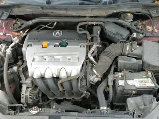 ✅ 2009 Acura TSX • VIN: JH4CU266X9C013227 • Lot: 43663457. Wystawiony na IAAI z przebiegiem 259 382 mil. Bezpłatny archiwum sprzedaży aukcyjnych z USA i szczegółowy raport historii pojazdu na DreamBid. Zdjęcie 14.