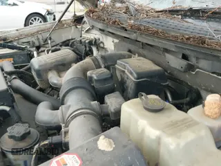 ✅ 2009 Ford F-150 XL • VIN: 1FTPW14V99FA13932 • Лот: 43769401. Опубликован ранее на IAAI с пробегом 218 387 миль. Бесплатный доступ к архиву аукционных продаж из США и подробный отчёт об истории автомобиля на DreamBid. Изображение 19.