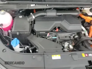 ✅ 2025 Kia Carnival LXS • VIN: KNDNB5KA5S6050766 • Lot: 66683635. Wystawiony na Copart z przebiegiem 847 mil. Bezpłatny archiwum sprzedaży aukcyjnych z USA i szczegółowy raport historii pojazdu na DreamBid. Zdjęcie 14.