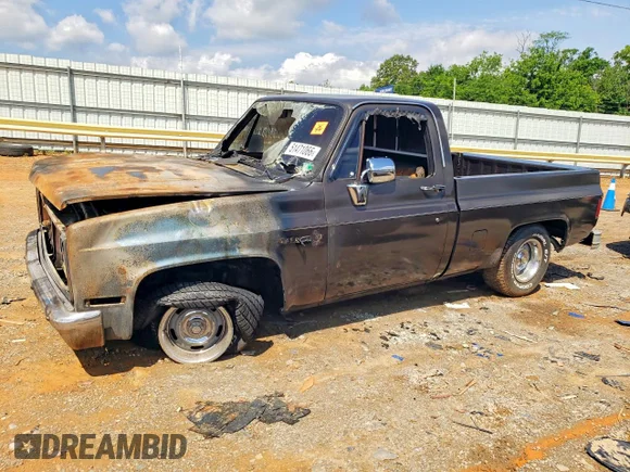 ✅ 1984 CHEV C/K1500 C10 • VIN: 2GCCC14H6E1173351 • Lot: 51471066. Wystawiony na Copart z przebiegiem Nie podano. Bezpłatny archiwum sprzedaży aukcyjnych z USA i szczegółowy raport historii pojazdu na DreamBid. Zdjęcie 1.