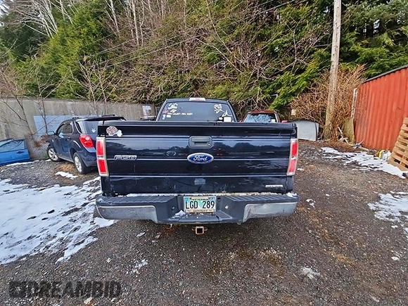 ✅ 2011 Ford F-150 XLT • VIN: 1FTEX1CMXBFB99550 • Lot: 47124986. Wystawiony na Copart z przebiegiem 94 277 mil. Bezpłatny archiwum sprzedaży aukcyjnych z USA i szczegółowy raport historii pojazdu na DreamBid. Zdjęcie 6.