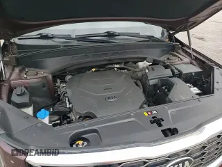 ✅ 2020 Kia Telluride S • VIN: 5XYP64HC5LG038180 • Лот: 80386465. Опубликован ранее на Copart с пробегом 123 417 миль. Бесплатный доступ к архиву аукционных продаж из США и подробный отчёт об истории автомобиля на DreamBid. Изображение 16.