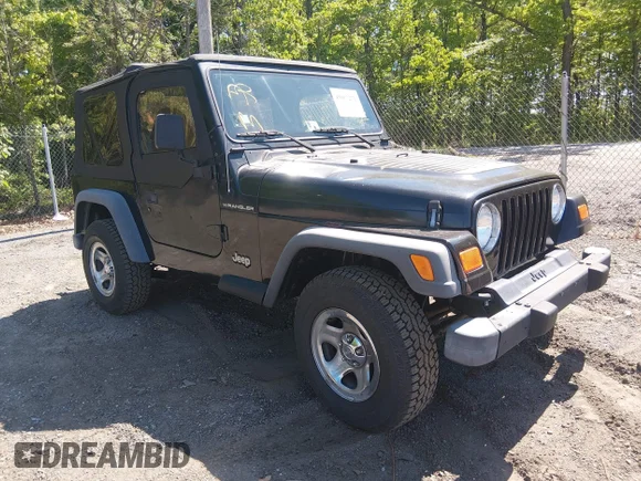 ✅ 2002 Jeep Wrangler X • VIN: 1J4FA39S22P758455 • Lot: 45017276. Wystawiony na IAAI z przebiegiem 82 997 mil. Bezpłatny archiwum sprzedaży aukcyjnych z USA i szczegółowy raport historii pojazdu na DreamBid. Zdjęcie 1.