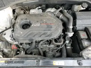 2017 Hyundai Santa Fe 2.0T with VIN 5XYZUDLA8HG484173, listed as a Copart auction lot 70024505 with 55,257 mi miles and Salvage title. Bid and sale history available at DreamBid. Image 14.