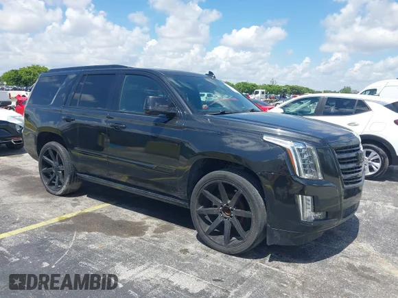 ✅ 2016 Cadillac Escalade Platinum • VIN: 1GYS3DKJ6GR436915 • Lot: 44738277. Listed on IAAI with 114,237 mi. Free auction sales archive from the USA and detailed vehicle history report at DreamBid. Image 1.