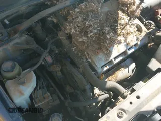 ✅ 2004 Toyota Camry LE • VIN: 4T1BF30KX4U583780 • Lot: 42486466. Wystawiony na IAAI z przebiegiem 251 110 mil. Bezpłatny archiwum sprzedaży aukcyjnych z USA i szczegółowy raport historii pojazdu na DreamBid. Zdjęcie 12.