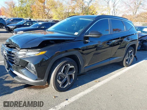 ✅ 2024 Hyundai Tucson SEL • VIN: 5NMJBCDE1RH426752 • Lot: 43532588. Wystawiony na IAAI z przebiegiem 31 198 mil. Bezpłatny archiwum sprzedaży aukcyjnych z USA i szczegółowy raport historii pojazdu na DreamBid. Zdjęcie 2.
