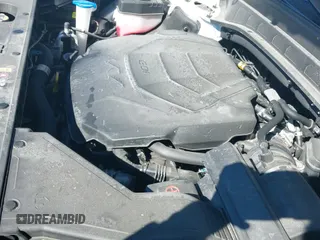 ✅ 2023 Kia Telluride S • VIN: 5XYP6DGCXPG347098 • Lot: 41785572. Listed on IAAI with 20,821 mi. Free auction sales archive from the USA and detailed vehicle history report at DreamBid. Image 19.