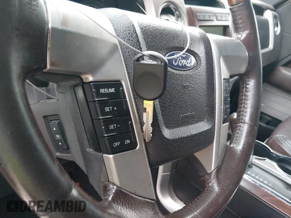 ✅ 2009 Ford F-150 XL • VIN: 1FTPW12V69FA36300 • Lot: 45183926. Listed on IAAI with 189,835 mi. Free auction sales archive from the USA and detailed vehicle history report at DreamBid. Image 11.