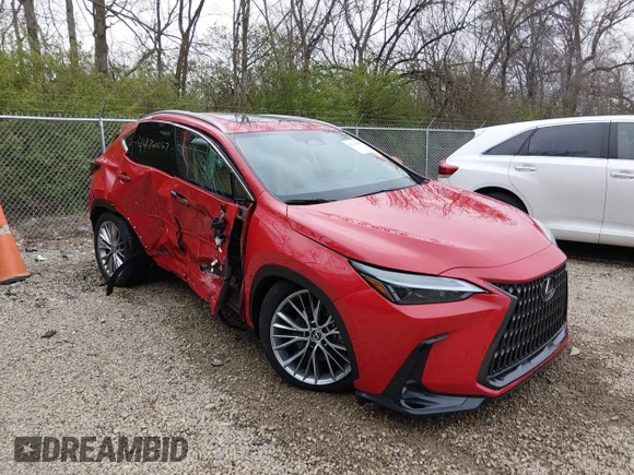 ✅ 2025 Lexus NX 350h Premium • VIN: 2T2GKCEZ6SC040296 • Лот: 44760067. Опубликован ранее на IAAI с пробегом 11 992 миль. Бесплатный доступ к архиву аукционных продаж из США и подробный отчёт об истории автомобиля на DreamBid. Изображение 1.