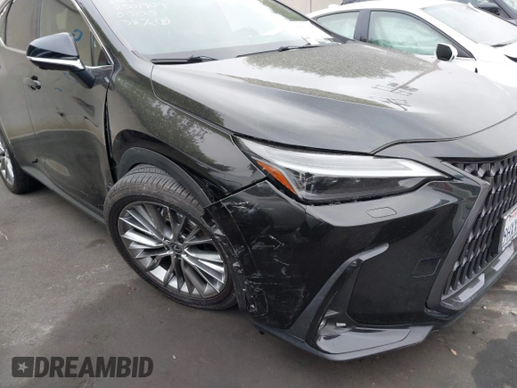 ✅ 2024 Lexus NX 350 Luxury • VIN: 2T2HGCEZ3RC034035 • Lot: 42433140. Wystawiony na IAAI z przebiegiem 18 175 mil. Bezpłatny archiwum sprzedaży aukcyjnych z USA i szczegółowy raport historii pojazdu na DreamBid. Zdjęcie 6.