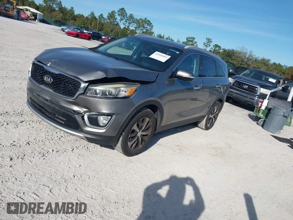 ✅ 2017 Kia Sorento EX • VIN: 5XYPH4A17HG278437 • Lot: 43951043. Wystawiony na IAAI z przebiegiem 124 354 mil. Bezpłatny archiwum sprzedaży aukcyjnych z USA i szczegółowy raport historii pojazdu na DreamBid. Zdjęcie 2.