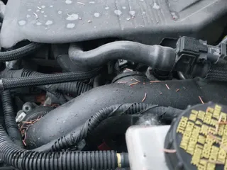 ✅ 2018 Ford Escape SE • VIN: 1FMCU0GD1JUB52224 • Lot: 43727537. Wystawiony na IAAI z przebiegiem 120 402 mil. Bezpłatny archiwum sprzedaży aukcyjnych z USA i szczegółowy raport historii pojazdu na DreamBid. Zdjęcie 19.