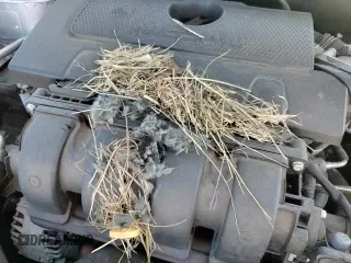 ✅ 2018 Nissan Sentra SR • VIN: 3N1AB7AP7JY206574 • Lot: 84631045. Wystawiony na Copart z przebiegiem 139 505 mil. Bezpłatny archiwum sprzedaży aukcyjnych z USA i szczegółowy raport historii pojazdu na DreamBid. Zdjęcie 16.