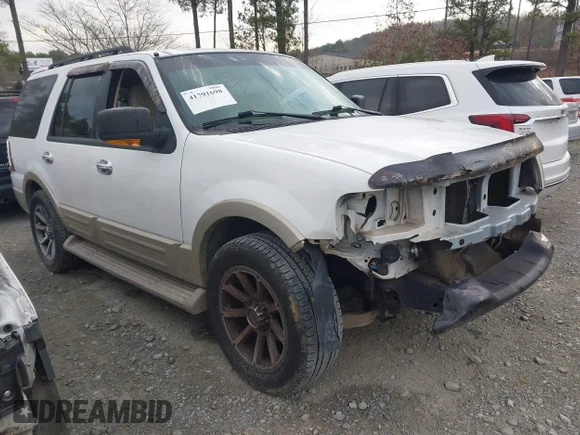 ✅ 2005 Ford Expedition Eddie Bauer • VIN: 1FMPU18515LA39965 • Lot: 41791698. Wystawiony na IAAI z przebiegiem 124 172 mil. Bezpłatny archiwum sprzedaży aukcyjnych z USA i szczegółowy raport historii pojazdu na DreamBid. Zdjęcie 1.