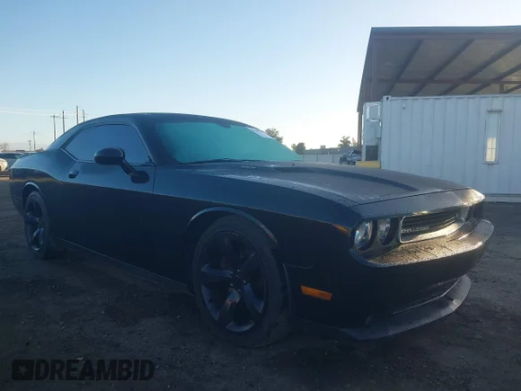 ✅ 2014 Dodge Challenger R/T • VIN: 2C3CDYBT8EH133474 • Lot: 44100922. Wystawiony na IAAI z przebiegiem 120 140 mil. Bezpłatny archiwum sprzedaży aukcyjnych z USA i szczegółowy raport historii pojazdu na DreamBid. Zdjęcie 1.