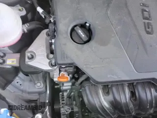 ✅ 2025 Kia Sorento S • VIN: 5XYRL4JC1SG351088 • Lot: 82541625. Wystawiony na Copart z przebiegiem 13 450 mil. Bezpłatny archiwum sprzedaży aukcyjnych z USA i szczegółowy raport historii pojazdu na DreamBid. Zdjęcie 16.