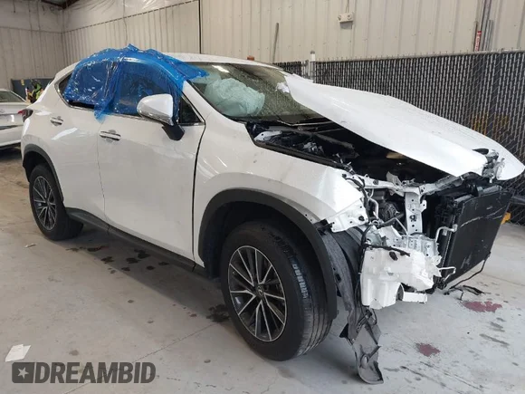 ✅ 2023 Lexus NX 250 • VIN: JTJADCAZ4P2006757 • Лот: 41378079. Опубліковано раніше на IAAI з пробігом 20 427 миль. Безкоштовний доступ до архіву аукціонних продажів зі США та докладний звіт про історію автомобіля на DreamBid. Зображення 1.