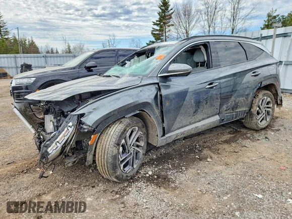 ✅ 2026 Hyundai Tucson SEL Convenience • VIN: KM8JCDD10TU426561 • Лот: 50929446. Опубликован ранее на Copart с пробегом Не указан. Бесплатный доступ к архиву аукционных продаж из США и подробный отчёт об истории автомобиля на DreamBid. Изображение 1.