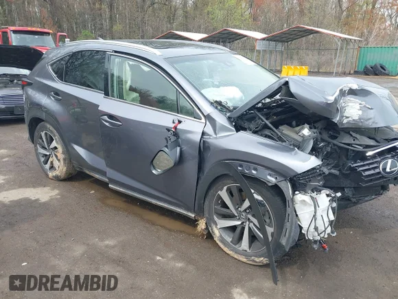 ✅ 2019 Lexus NX 300 • VIN: JTJBARBZ3K2194159 • Lot: 41965369. Listed on IAAI with 47,140 mi. Free auction sales archive from the USA and detailed vehicle history report at DreamBid. Image 1.
