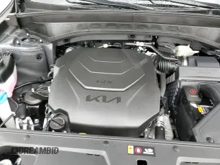 ✅ 2024 Kia Telluride LX • VIN: 5XYP24GCXRG557330 • Лот: 60739635. Опубликован ранее на Copart с пробегом 2 490 миль. Бесплатный доступ к архиву аукционных продаж из США и подробный отчёт об истории автомобиля на DreamBid. Изображение 14.