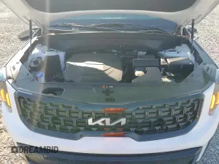 ✅ 2024 Kia Telluride EX X-Line • VIN: 5XYP3DGC7RG558271 • Lot: 69225255. Listed on Copart with 2,639 mi. Free auction sales archive from the USA and detailed vehicle history report at DreamBid. Image 17.