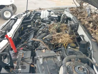 ✅ 2001 Ford Escape XLT • VIN: 1FMCU04191KA47176 • Lot: 43354781. Listed on IAAI with 256,473 mi. Free auction sales archive from the USA and detailed vehicle history report at DreamBid. Image 13.