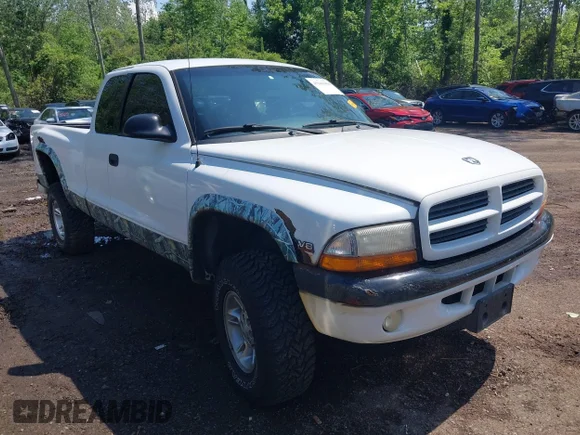 ✅ 2000 Dodge Dakota Sport • VIN: 1B7GG22N8YS524544 • Lot: 45161464. Wystawiony na IAAI z przebiegiem 111 786 mil. Bezpłatny archiwum sprzedaży aukcyjnych z USA i szczegółowy raport historii pojazdu na DreamBid. Zdjęcie 1.