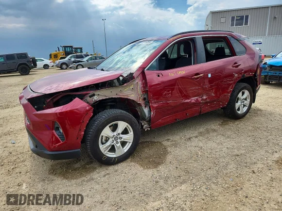 ✅ 2019 Toyota RAV4 XLE • VIN: 2T3R1RFV8KC035963 • Lot: 59716836. Wystawiony na Copart z przebiegiem 133 713 km. Bezpłatny archiwum sprzedaży aukcyjnych z USA i szczegółowy raport historii pojazdu na DreamBid. Zdjęcie 1.