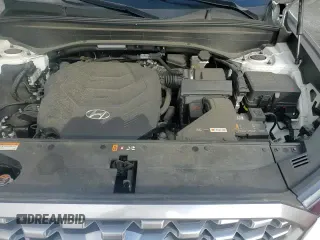 ✅ 2022 Hyundai Palisade SEL • VIN: KM8R3DHE8NU361011 • Lot: 89685715. Listed on Copart with 33,354 mi. Free auction sales archive from the USA and detailed vehicle history report at DreamBid. Image 14.