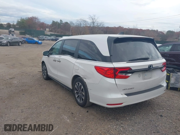 ✅ 2024 Honda Odyssey EX-L • VIN: 5FNRL6H69RB069455 • Lot: 43688699. Wystawiony na IAAI z przebiegiem 52 996 mil. Bezpłatny archiwum sprzedaży aukcyjnych z USA i szczegółowy raport historii pojazdu na DreamBid. Zdjęcie 3.