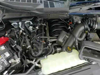 ✅ 2025 Ford F-150 XL • VIN: 1FTMF1K56SKD69869 • Lot: 81104545. Wystawiony na Copart z przebiegiem 396 mil. Bezpłatny archiwum sprzedaży aukcyjnych z USA i szczegółowy raport historii pojazdu na DreamBid. Zdjęcie 14.