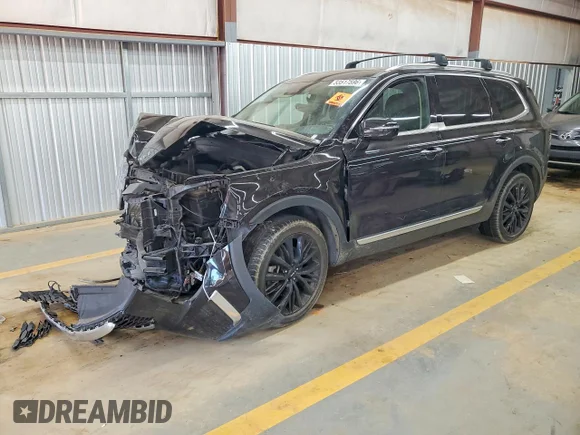 ✅ 2022 Kia Telluride SX • VIN: 5XYP54HC4NG219373 • Lot: 53517596. Wystawiony na Copart z przebiegiem 84 732 mil. Bezpłatny archiwum sprzedaży aukcyjnych z USA i szczegółowy raport historii pojazdu na DreamBid. Zdjęcie 1.
