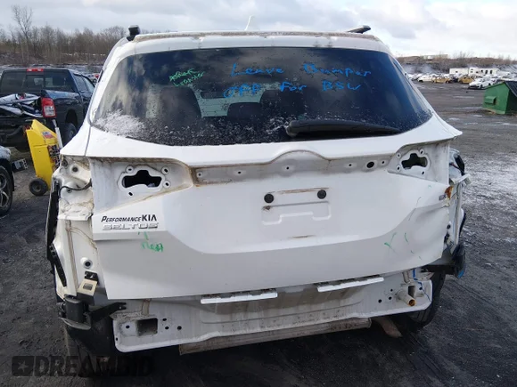 ✅ 2021 Kia Seltos EX • VIN: KNDERCAA0M7176791 • Lot: 44631392. Listed on IAAI with 134,217 mi. Free auction sales archive from the USA and detailed vehicle history report at DreamBid. Image 6.