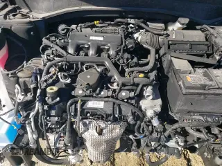 ✅ 2024 Kia Telluride S • VIN: 5XYP64GC9RG478848 • Lot: 90821355. Wystawiony na Copart z przebiegiem 20 880 mil. Bezpłatny archiwum sprzedaży aukcyjnych z USA i szczegółowy raport historii pojazdu na DreamBid. Zdjęcie 14.