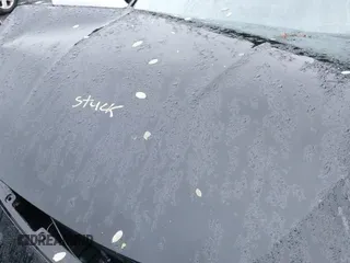 ✅ 2020 Honda Accord EX-L • VIN: 1HGCV1F58LA111323 • Лот: 43437061. Опубликован ранее на IAAI с пробегом 26 545 миль. Бесплатный доступ к архиву аукционных продаж из США и подробный отчёт об истории автомобиля на DreamBid. Изображение 19.