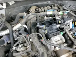 ✅ 2019 Ford F-150 XL • VIN: 1FTEW1CP4KKE04977 • Lot: 70868805. Listed on Copart with 111,127 mi. Free auction sales archive from the USA and detailed vehicle history report at DreamBid. Image 13.