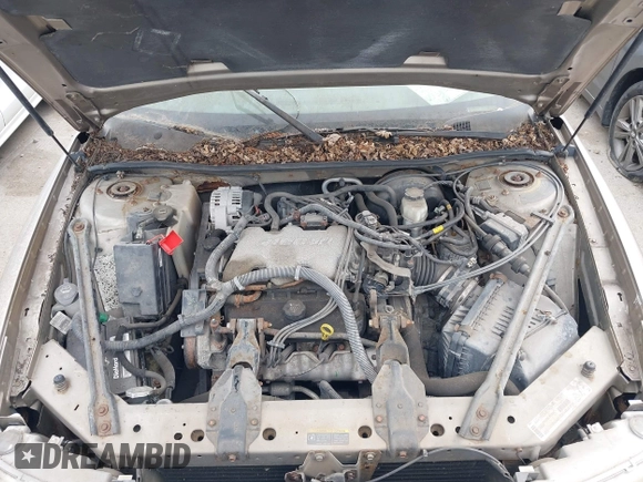 ✅ 2003 Buick Century Custom • VIN: 2G4WS52J031156132 • Lot: 44796950. Wystawiony na IAAI z przebiegiem 127 155 mil. Bezpłatny archiwum sprzedaży aukcyjnych z USA i szczegółowy raport historii pojazdu na DreamBid. Zdjęcie 10.