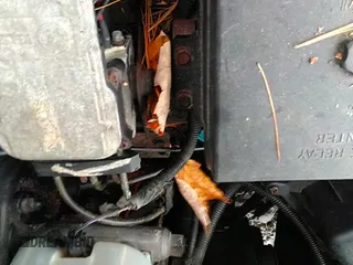 ✅ 2000 GMC Sonoma SLS 1SE • VIN: 1GTCS1448Y8116344 • Lot: 43426711. Listed on IAAI with 101,870 mi. Free auction sales archive from the USA and detailed vehicle history report at DreamBid. Image 12.