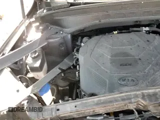 ✅ 2021 Kia Telluride LX • VIN: 5XYP2DHC8MG153191 • Lot: 85281075. Wystawiony na Copart z przebiegiem 49 805 mil. Bezpłatny archiwum sprzedaży aukcyjnych z USA i szczegółowy raport historii pojazdu na DreamBid. Zdjęcie 16.