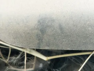 ✅ 2006 Mercedes-Benz E 350 • VIN: WDBUF87J76X193114 • Lot: 43121677. Listed on IAAI with 179,582 mi. Free auction sales archive from the USA and detailed vehicle history report at DreamBid. Image 13.