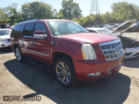 ✅ 2009 Cadillac Escalade ESV Platinum Edition • VIN: 1GYFK36289R148804 • Lot: 45273513. Listed on IAAI with Not provided. Free auction sales archive from the USA and detailed vehicle history report at DreamBid. Image 1.