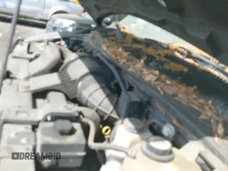 ✅ 2007 Ford Econoline Passenger XL • VIN: 1FBNE31L47DA67614 • Lot: 42117167. Wystawiony na IAAI z przebiegiem 217 090 mil. Bezpłatny archiwum sprzedaży aukcyjnych z USA i szczegółowy raport historii pojazdu na DreamBid. Zdjęcie 14.