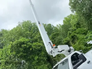 ✅ 2016 Ram 4500 • VIN: 3C7WRKAJ4GG109587 • Лот: 54969935. Опубликован ранее на Copart с пробегом 67 000 миль. Бесплатный доступ к архиву аукционных продаж из США и подробный отчёт об истории автомобиля на DreamBid. Изображение 11.