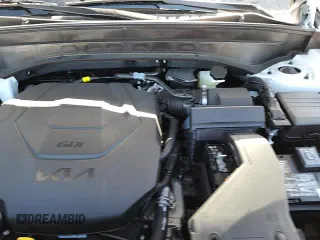 ✅ 2025 Kia Telluride LX • VIN: 5XYP24GC5SG675937 • Лот: 81487595. Опубликован ранее на Copart с пробегом 32 миль. Бесплатный доступ к архиву аукционных продаж из США и подробный отчёт об истории автомобиля на DreamBid. Изображение 17.