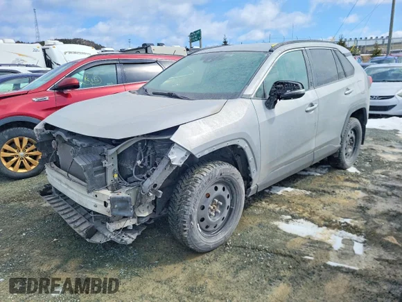 ✅ 2019 Toyota RAV4 LE • VIN: 2T3B1RFV0KW074868 • Лот: 45977876. Опубліковано раніше на Copart з пробігом Не вказано. Безкоштовний доступ до архіву аукціонних продажів зі США та докладний звіт про історію автомобіля на DreamBid. Зображення 1.