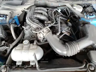 ✅ 2017 Ford Mustang V6 • VIN: 1FATP8EM0H5219810 • Lot: 81648235. Wystawiony na Copart z przebiegiem 94 269 mil. Bezpłatny archiwum sprzedaży aukcyjnych z USA i szczegółowy raport historii pojazdu na DreamBid. Zdjęcie 14.